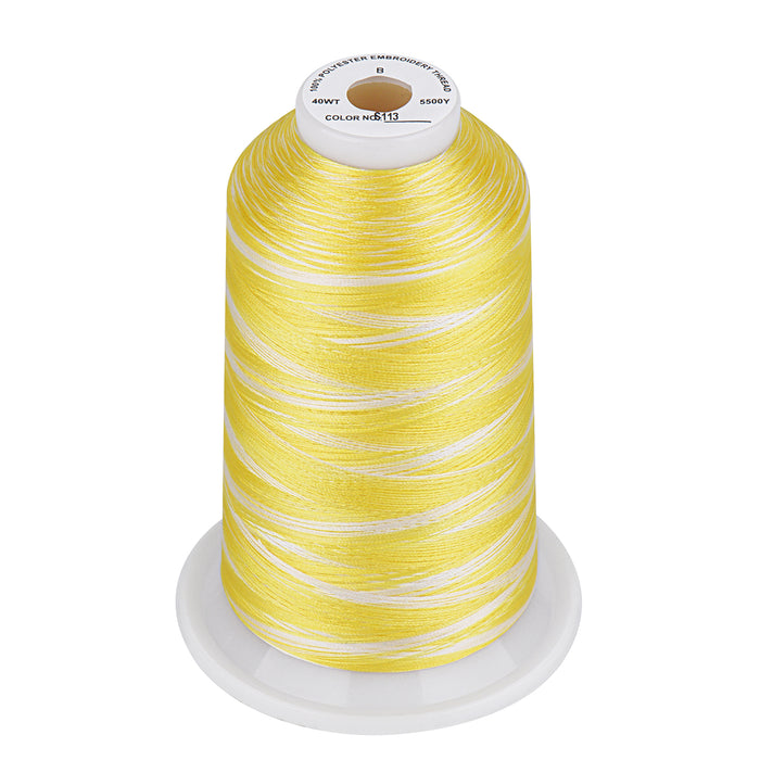 Simthread Vibrant Variegated Polyester Embroidery Thread Single Spool - 5000M - 37 Unique Colors