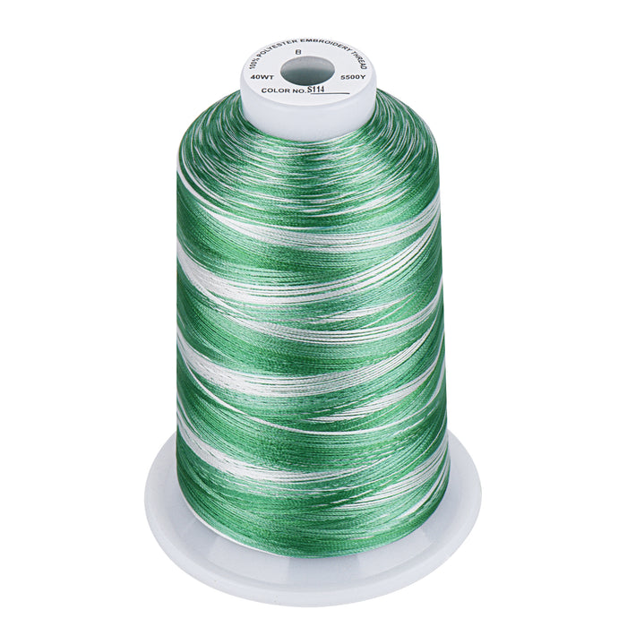 Simthread Vibrant Variegated Polyester Embroidery Thread Single Spool - 5000M - 37 Unique Colors