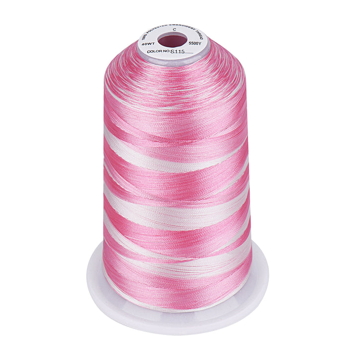 Simthread Vibrant Variegated Polyester Embroidery Thread Single Spool - 5000M - 37 Unique Colors