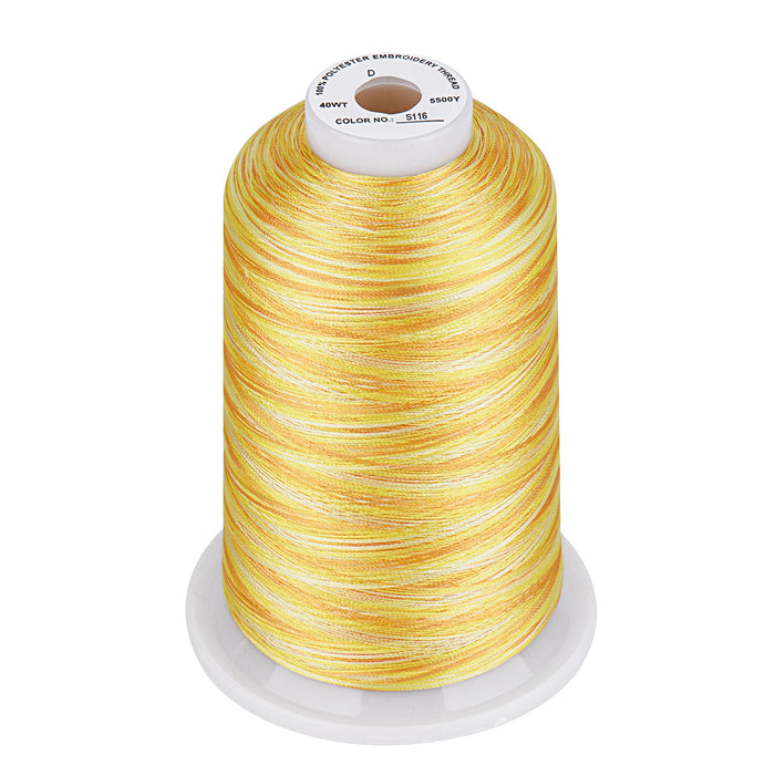 Simthread Vibrant Variegated Polyester Embroidery Thread Single Spool - 5000M - 37 Unique Colors