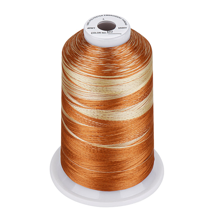 Simthread Vibrant Variegated Polyester Embroidery Thread Single Spool - 5000M - 37 Unique Colors