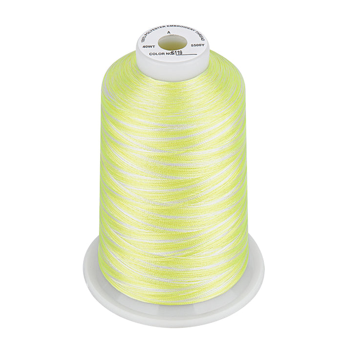 Simthread Vibrant Variegated Polyester Embroidery Thread Single Spool - 5000M - 37 Unique Colors