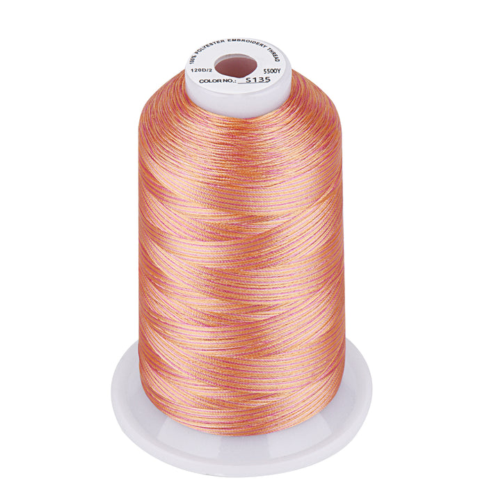 Simthread Vibrant Variegated Polyester Embroidery Thread Single Spool - 5000M - 37 Unique Colors