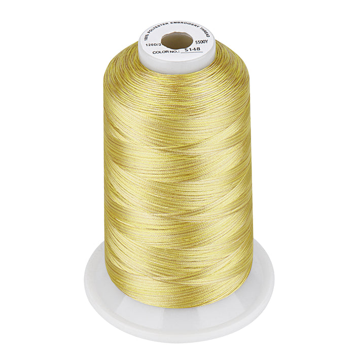 Simthread Vibrant Variegated Polyester Embroidery Thread Single Spool - 5000M - 37 Unique Colors